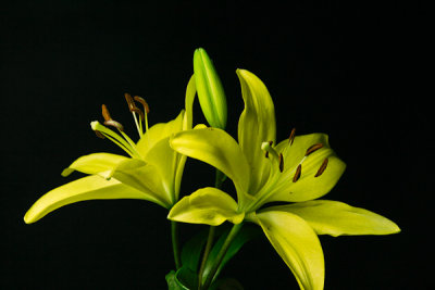 Click here to view my time-lapse videos..jpg