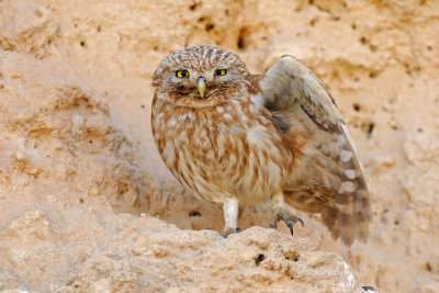 DSC_7839.jpg