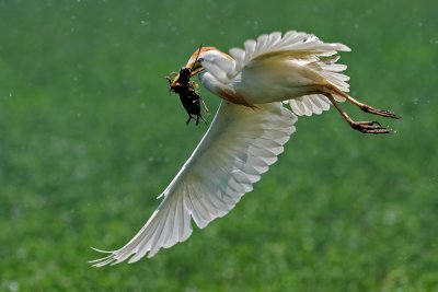 DSC_2541.jpg