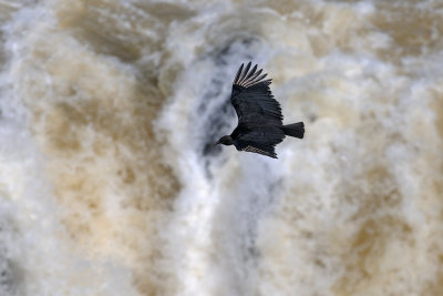 Iguazu Brazil