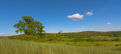 _MG_0045.jpg