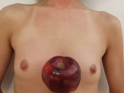 Apple 073.jpg