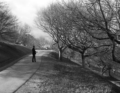 Path