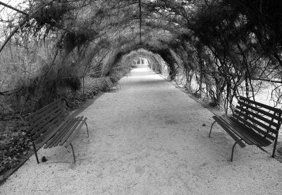 arbour 2