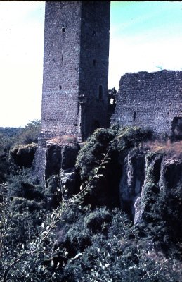 Momjan Castle Istria