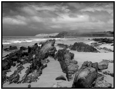 beach landscape.jpg