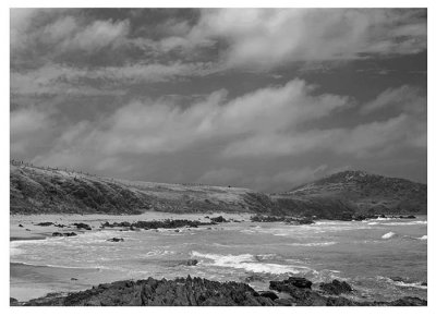 seascape