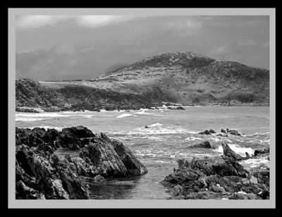 IMG_0922bw.jpg