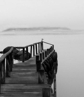 encounter bay jetty 4