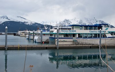 The Cruise Boats