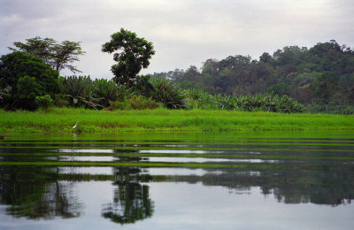 Nature Preserve