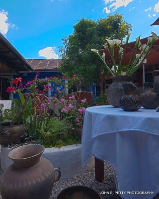 Blue wall garden_HDR10.jpg
