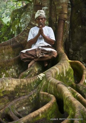 Banyan Tree Yogi IMG_6628.jpg