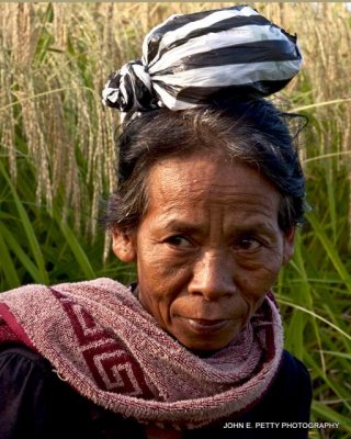 Rice Field Woman IMG_6167.jpg