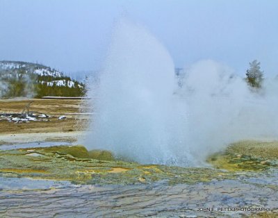 Jewel Geyser_MG_3612.jpg