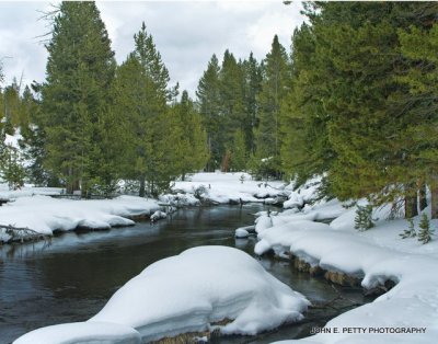 Yellowstone Winter Landscape