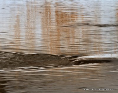 Reflections_MG_2908.jpg
