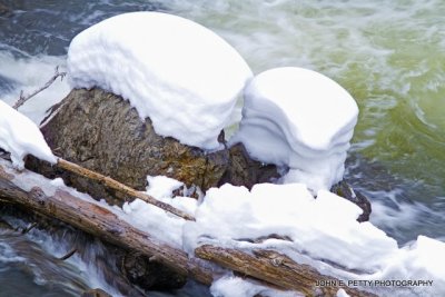 Snow puffs_MG_3410.jpg