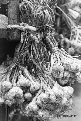 Garlic_MG_6970.jpg