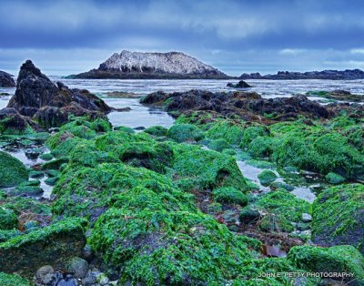 Bird Rock _MG_8935_HDR.jpg