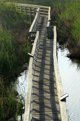Birding Center Boardwalk
