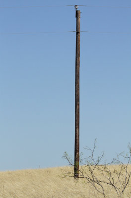 Pole in Field