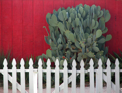 In Buffalo Gap.jpg