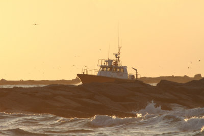 Pilot Boat, Port Aransas Sunrise