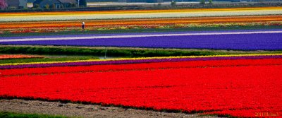 20110419-_LC28723_3077_LC28723-70.jpg