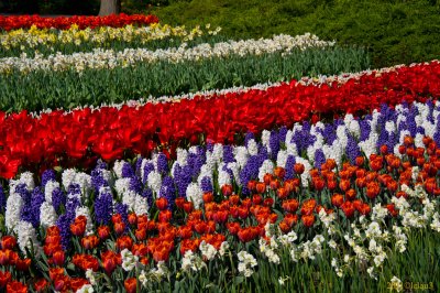 Keukenhof Gardens, Lisse, Holland