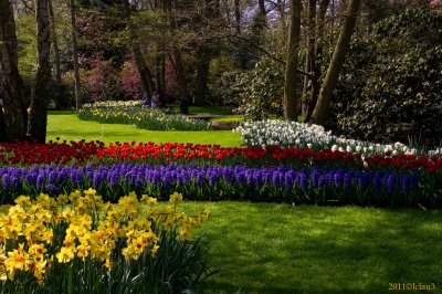 Keukenhof Gardens, Lisse, Holland
