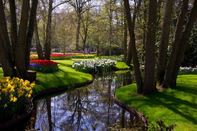 Keukenhof Gardens, Lisse, Holland