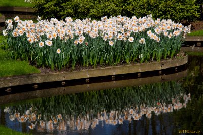 Keukenhof Gardens, Lisse, Holland