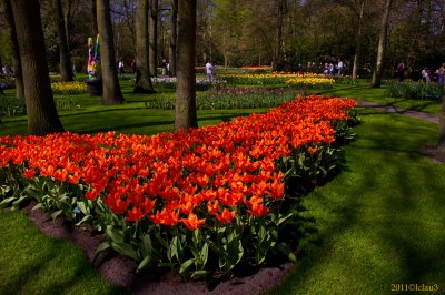 Keukenhof Gardens, Lisse, Holland
