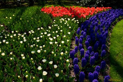 Keukenhof Gardens, Lisse, Holland