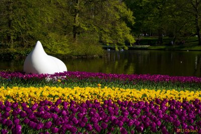 Keukenhof Gardens, Lisse, Holland