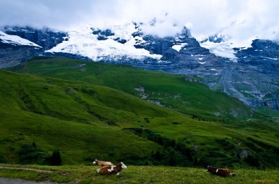 Ride back down the mountains