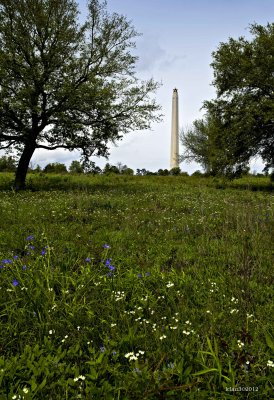 Flowers and Monument 1.jpg