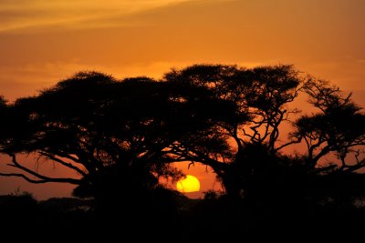 Amboseli (Kenya)