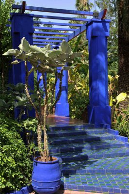 Marrakech - Jardin Majorelle