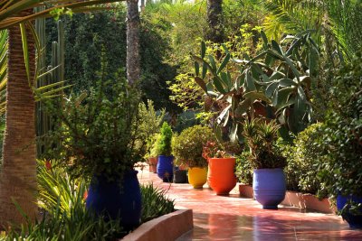 Marrakech - Jardin Majorelle