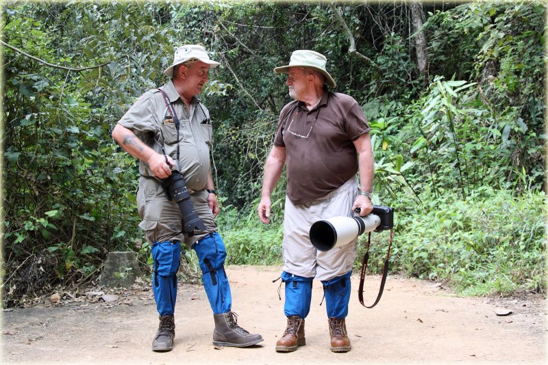 David and John in the Rain Forest 