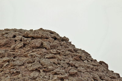 Eagle Owl