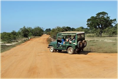 Yala National Park Vehicles