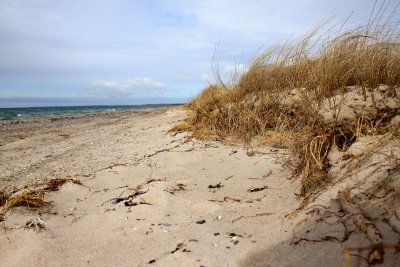 Rdby Strand - Denmark