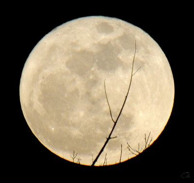 Super Full Moon - 19 March 2011