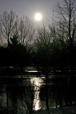 Ghostly Scene