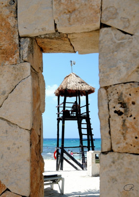 Peeking Out The Beach Shower