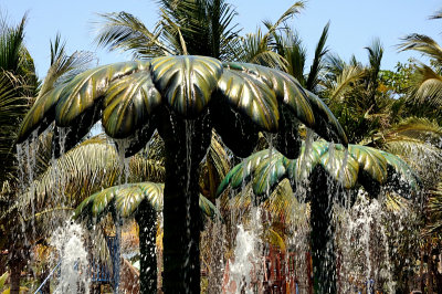 Splash Pad Palms