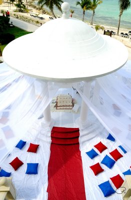 Roll Out The Red Carpet
